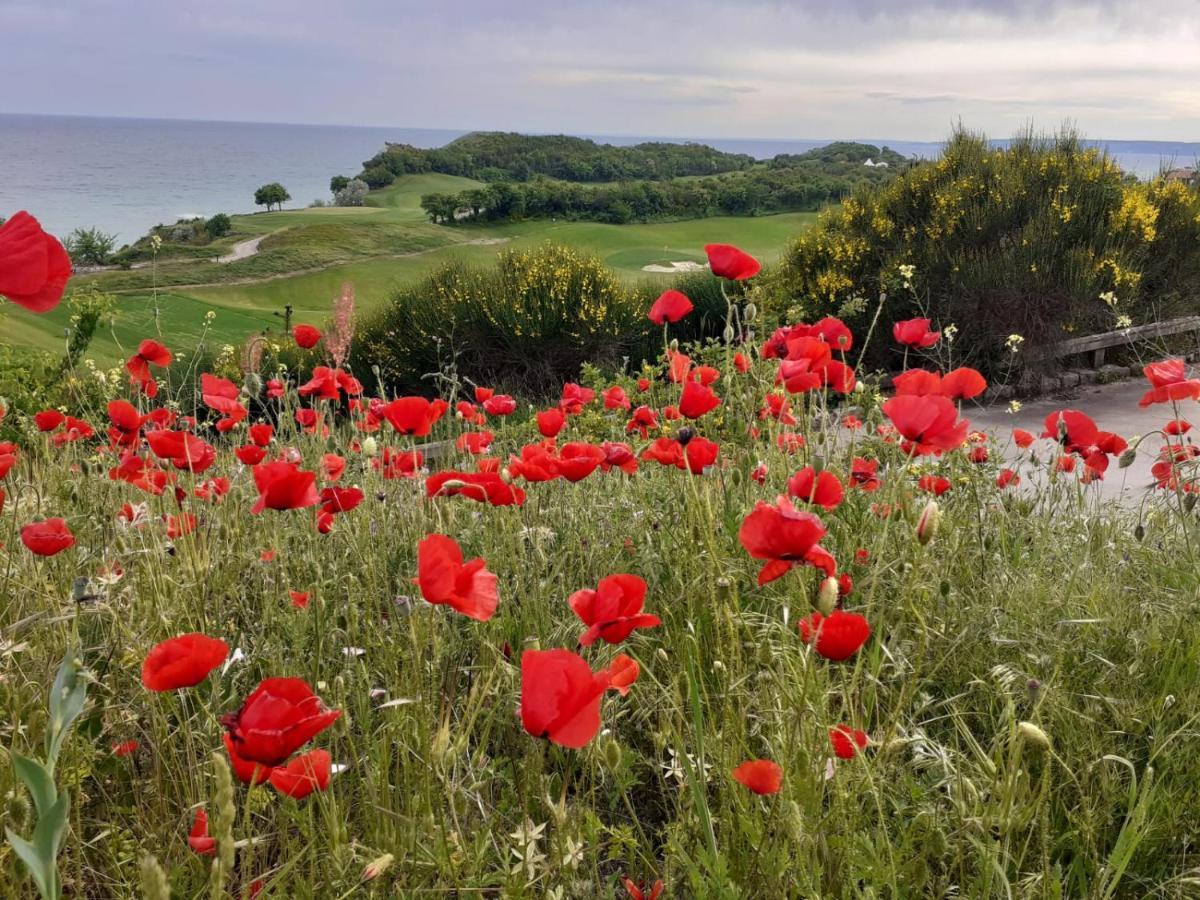 Thracian Cliffs голф
